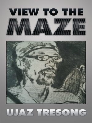 cover image of View to the Maze